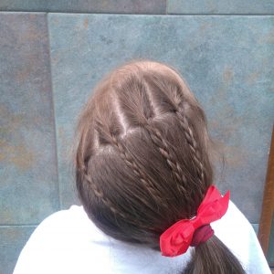 coleta de caballo 2