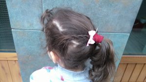 Coleta lateral con trenza de dos