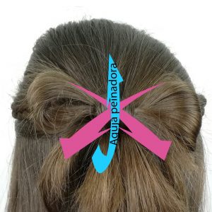 Coleta con lazo de pelo