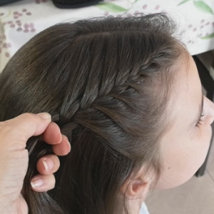 trenza francesa