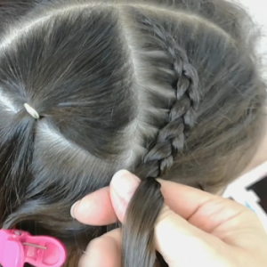 trenza holandesa
