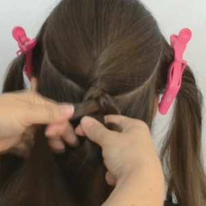 pliegue posterior