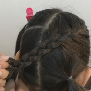trenzas francesas