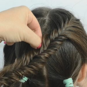 trenza espiga
