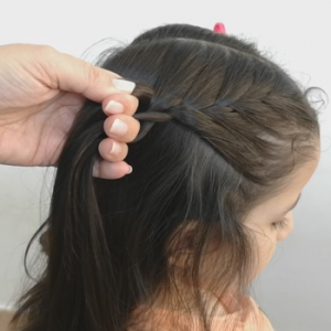 trenza francesa