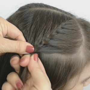 trenza francesa