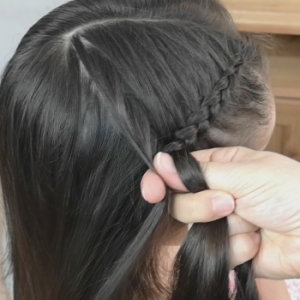 trenza holandesa