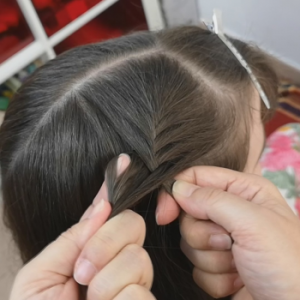 trenza espiga