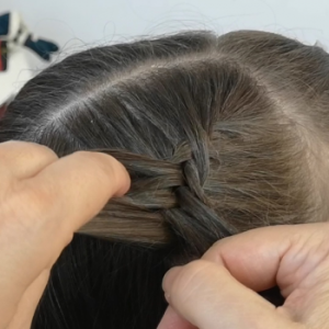 trenza de pescado invertida