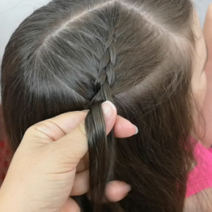 trenza postiza