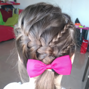 trenza francesa